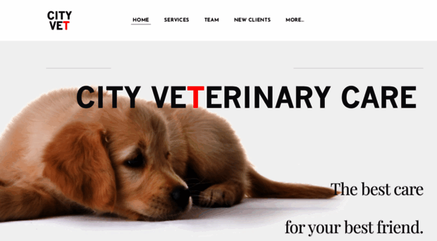 cityvetcare.com