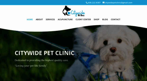 citywidepetclinic.com