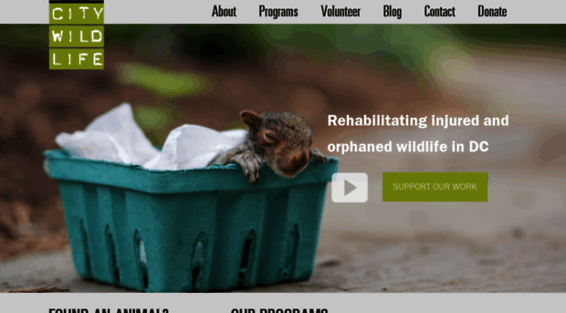 citywildlife.org