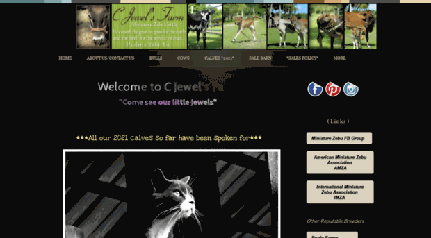 cjewelsfarm.com