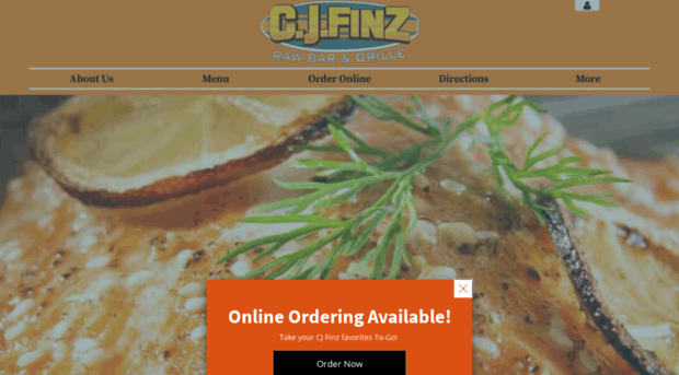 cjfinz.com