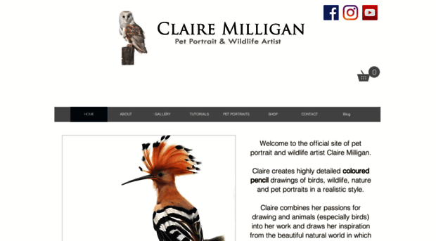 clairemilliganart.com