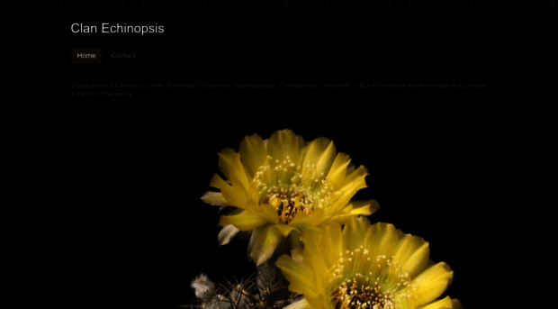 clanechinopsis.weebly.com