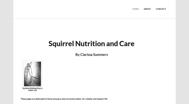 clarissasquirrels.com