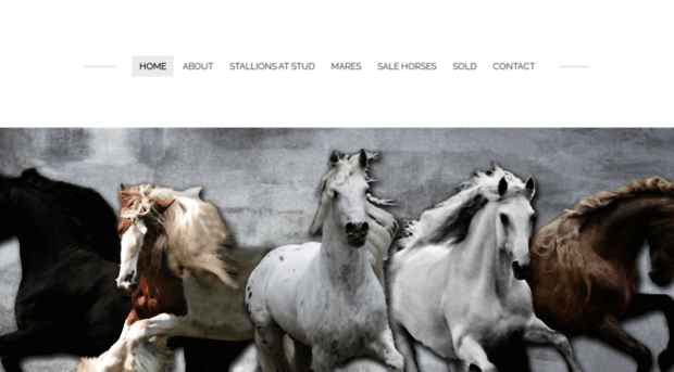 classicalbaroquehorses.com