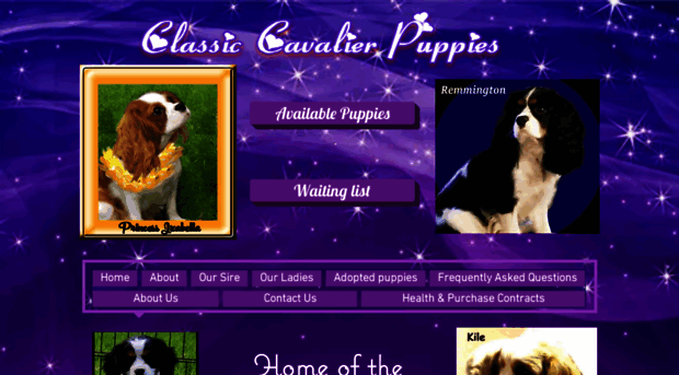 classiccavalierpuppies.com