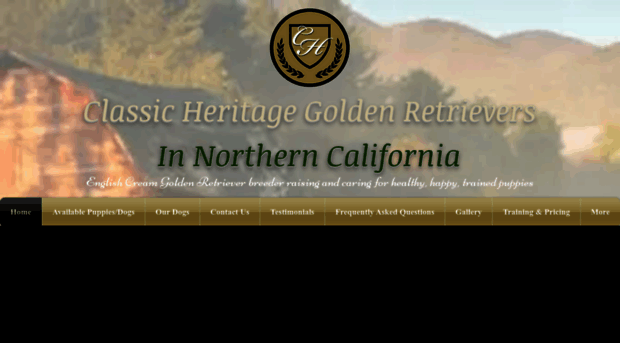 classicheritagegoldenretrievers.com