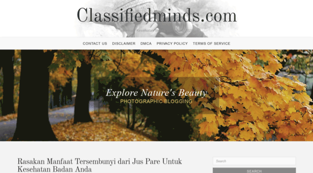 classifiedminds.com