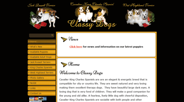 classydogs.com