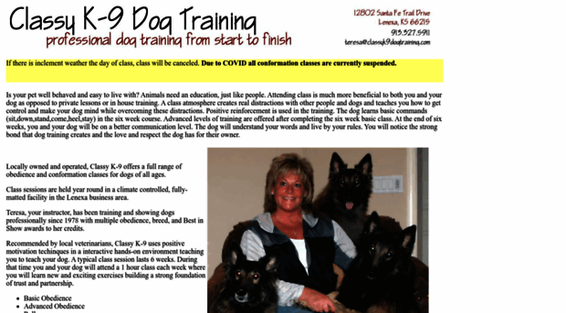 classyk9dogtraining.com