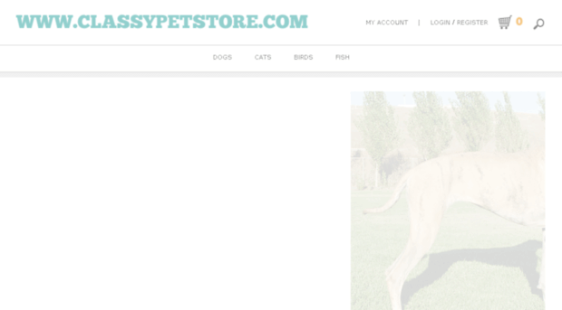 classypetstore.com