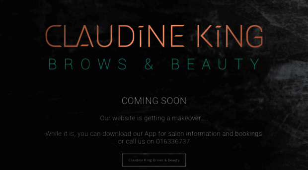 claudinekingbrows.ie