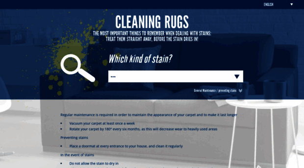 clean-rug.com