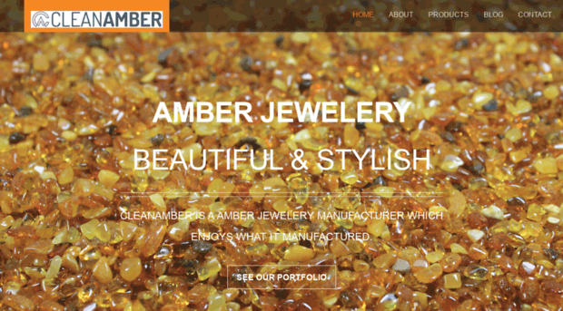 cleanamber.com