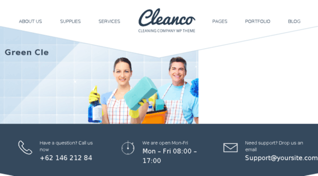 cleanco.detheme.com