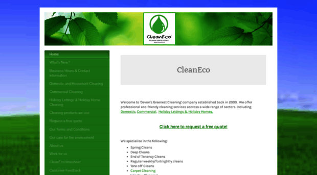 cleaneco.co