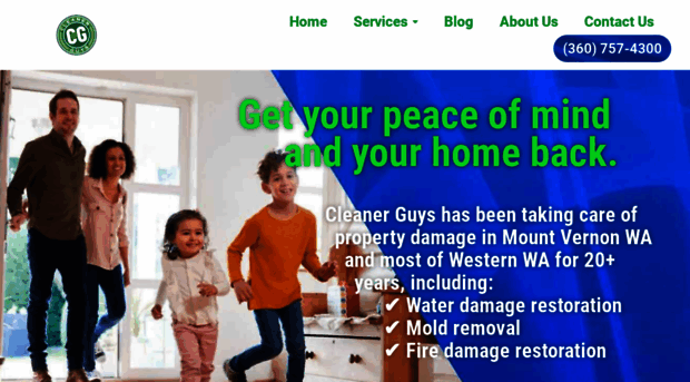 cleanerguys.com