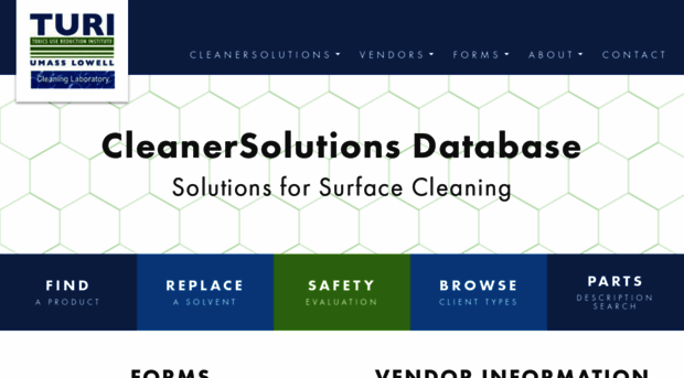 cleanersolutions.org