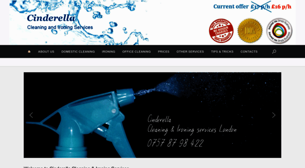 cleaning-ironing-services-london.co.uk