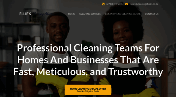 cleaningchicks.co.za