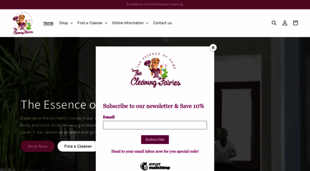 cleaningfairies.com.au