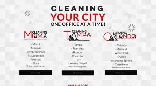 cleaningtampafl.com