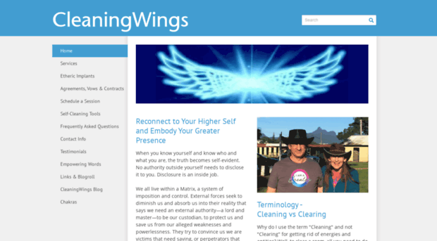 cleaningwings.com