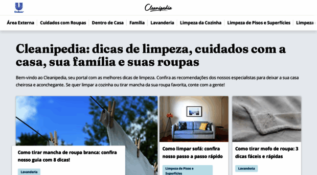 cleanipedia.com.br