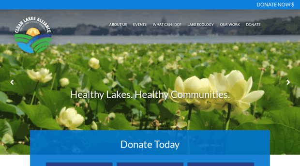 cleanlakesalliance.com