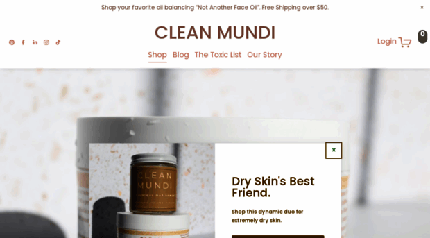 cleanmundi.com