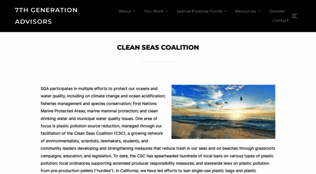 cleanseascoalition.org