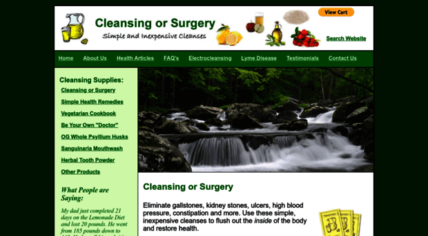 cleansingorsurgery.com