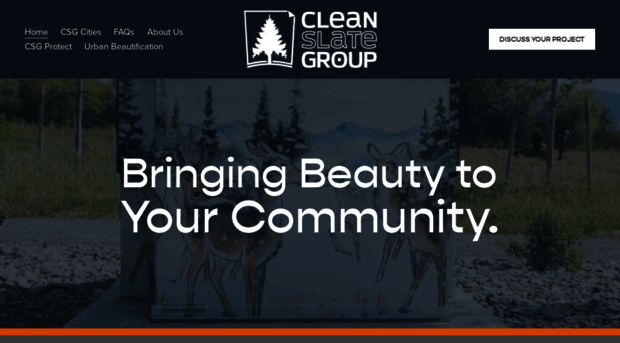 cleanslategroupus.com