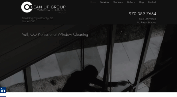 cleanupgroupcolorado.com