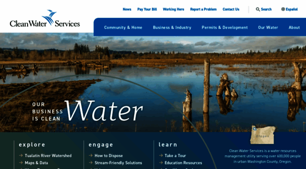cleanwaterservices.org