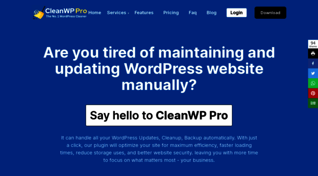 cleanwp.pro