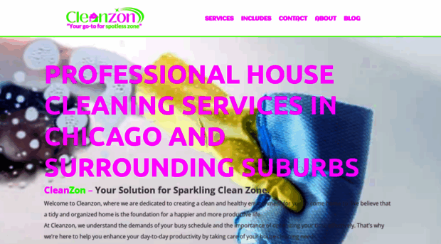 cleanzonllc.com