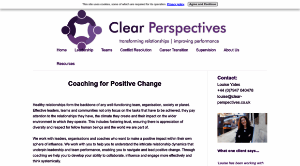 clear-perspectives.co.uk