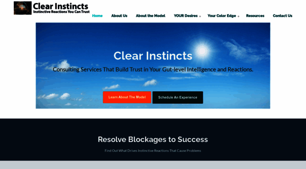 clearinstincts.com