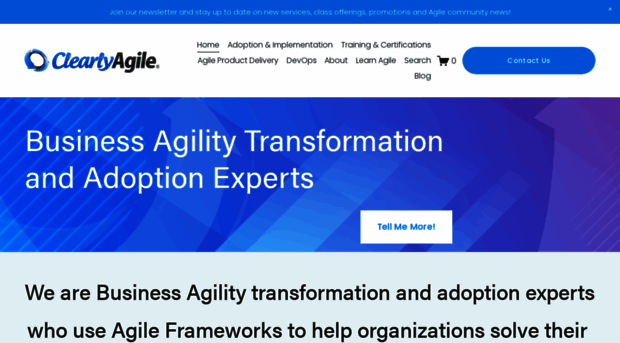 clearlyagileinc.com