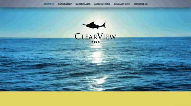 clearviewrisk.com