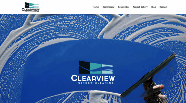 clearviewwindowcleaninginc.com