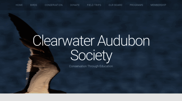 clearwateraudubonsociety.org