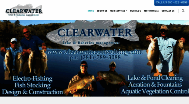 clearwaterconsulting.com