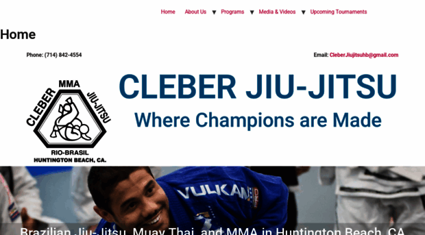 cleberjiujitsu.com