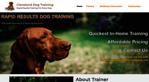 clevelanddogtraining.com