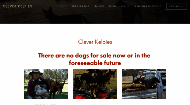 cleverkelpies.com