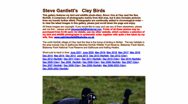 cleybirds.com