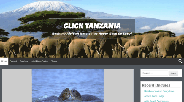 clicktanzania.com