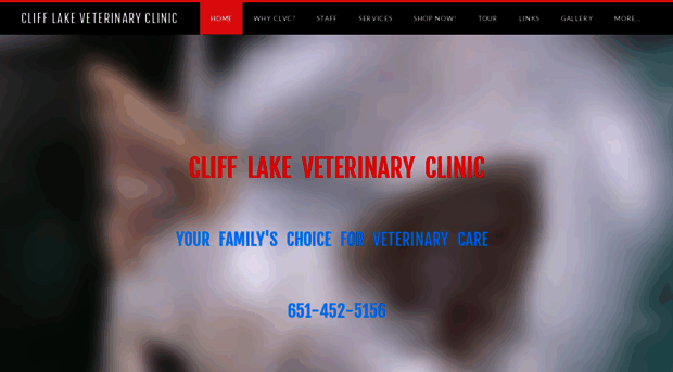 clifflakevet.com